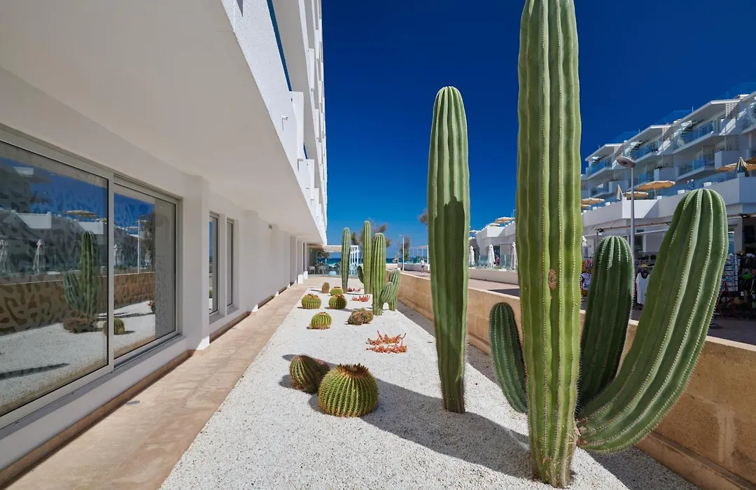 The Sea Hotel By Grupotel - Adults Only-1